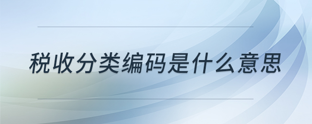 稅收分類編碼是什么意思 稅收分類編碼是什么意思