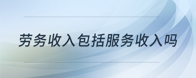 勞務(wù)收入包括服務(wù)收入嗎