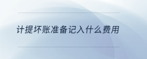  計提壞賬準備記入什么費用