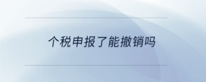 個(gè)稅申報(bào)了能撤銷嗎