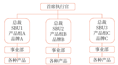 戰(zhàn)略業(yè)務(wù)單位組織結(jié)構(gòu)(SBU) 戰(zhàn)略業(yè)務(wù)單位組織結(jié)構(gòu)(SBU)