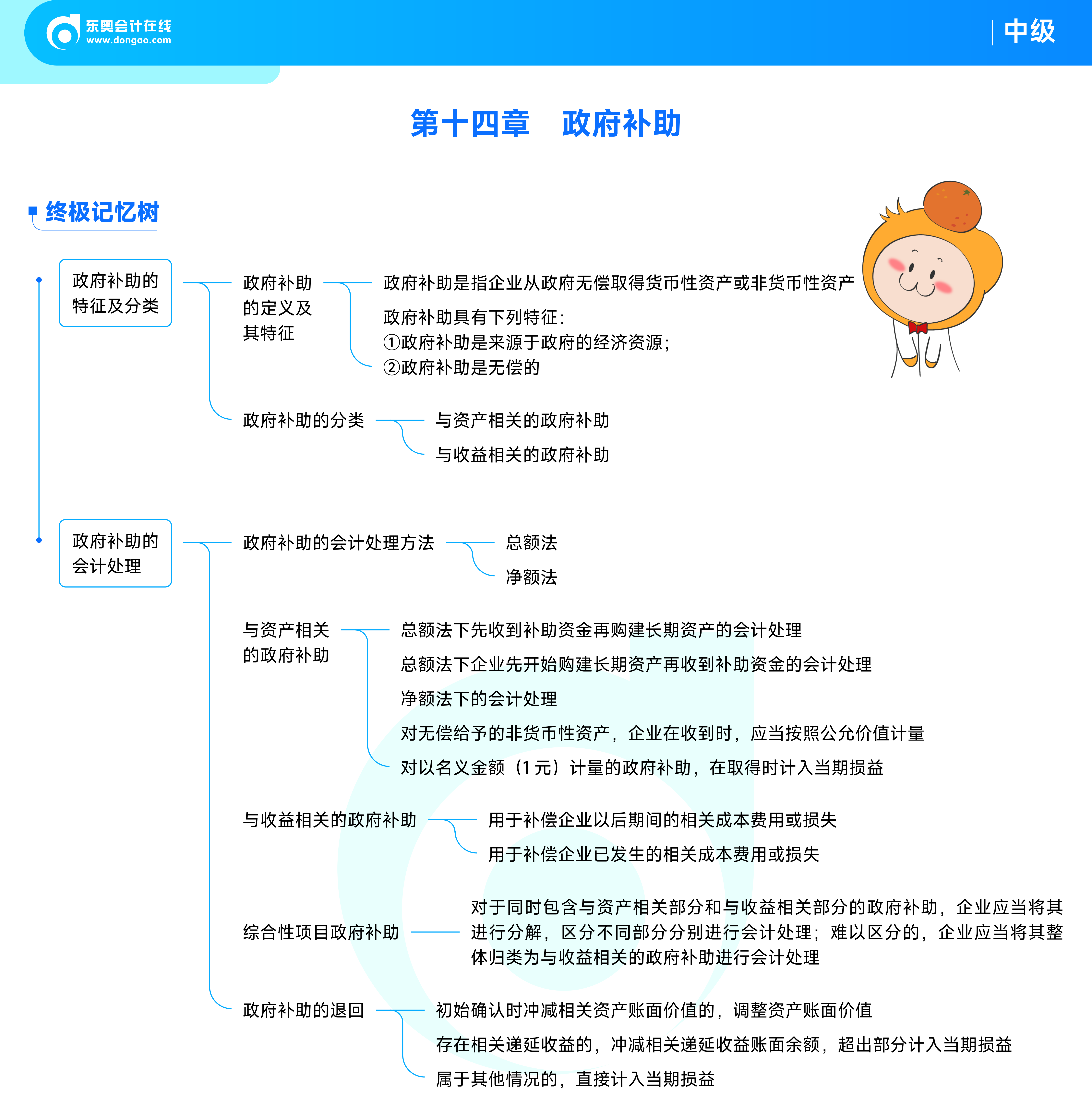 《中級(jí)會(huì)計(jì)實(shí)務(wù)》思維導(dǎo)圖14政府補(bǔ)助