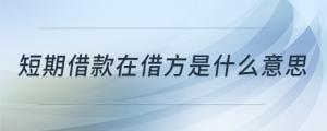 短期借款在借方是什么意思