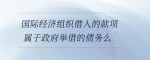 國際經(jīng)濟(jì)組織借入的款項(xiàng)屬于政府舉借的債務(wù)么