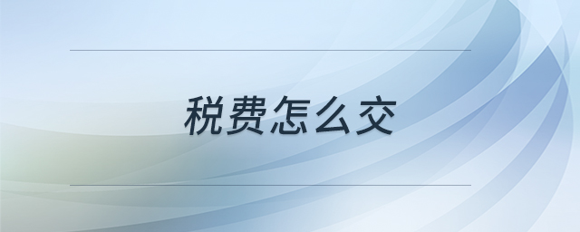 稅費(fèi)怎么交