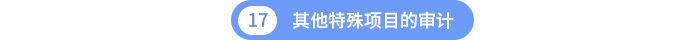 其他特殊項(xiàng)目的審計(jì) 其他特殊項(xiàng)目的審計(jì)