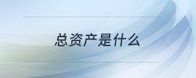 總資產(chǎn)是什么