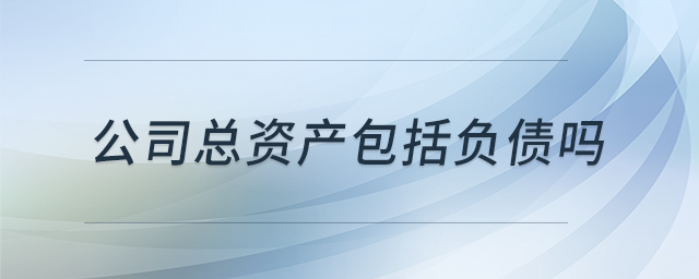 公司總資產(chǎn)包括負債嗎 公司總資產(chǎn)包括負債嗎