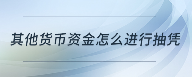其他貨幣資金怎么進(jìn)行抽憑