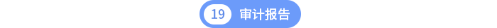 第十九章審計(jì)報(bào)告 第十九章審計(jì)報(bào)告