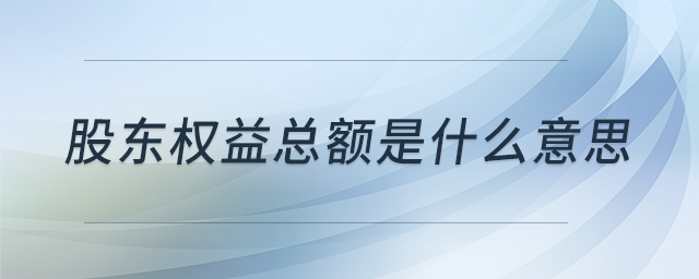 股東權(quán)益總額是什么意思