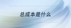 總成本是什么