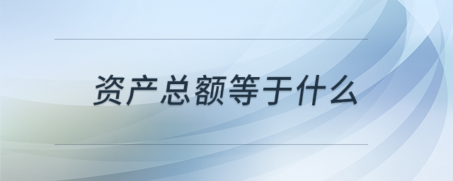 資產(chǎn)總額等于什么 資產(chǎn)總額等于什么