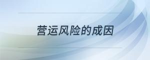 營運(yùn)風(fēng)險的成因