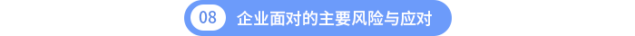 第八章：企業(yè)面對(duì)的主要風(fēng)險(xiǎn)與應(yīng)對(duì)