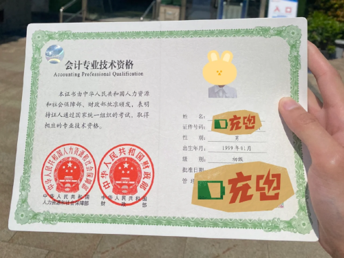 初級(jí)會(huì)計(jì)師