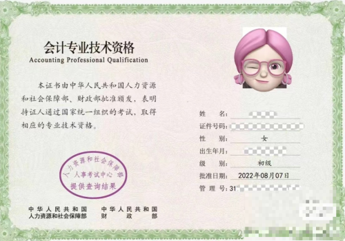 初級(jí)會(huì)計(jì)職稱