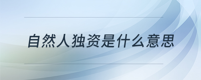 自然人獨(dú)資是什么意思