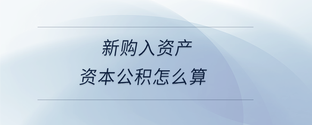 新購入資產(chǎn)資本公積怎么算 新購入資產(chǎn)資本公積怎么算