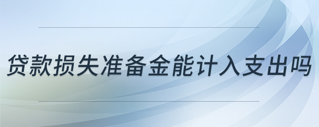 貸款損失準(zhǔn)備金能計入支出嗎 貸款損失準(zhǔn)備金能計入支出嗎