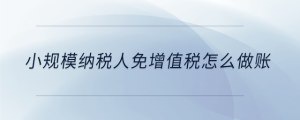 小規(guī)模納稅人免增值稅怎么做賬