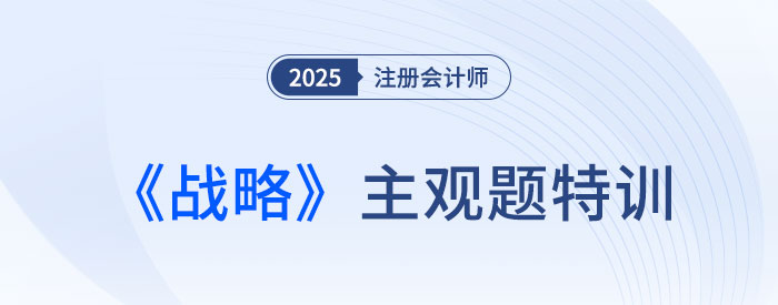 公司治理的主要問題_2025注會(huì)戰(zhàn)略主觀題特訓(xùn)