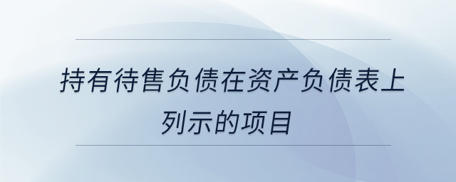 持有待售負債在資產(chǎn)負債表上列示的項目