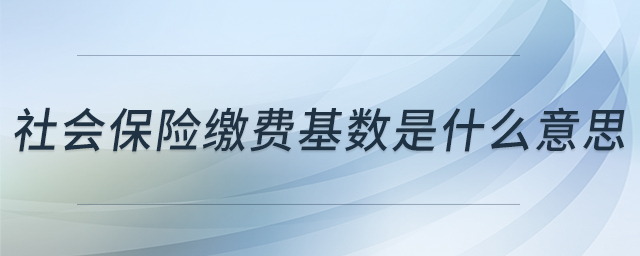社會保險繳費基數是什么意思 社會保險繳費基數是什么意思