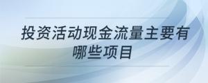投資活動現(xiàn)金流量主要有哪些項目