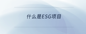 什么是esg項目