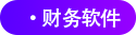 財(cái)務(wù)軟件 財(cái)務(wù)軟件
