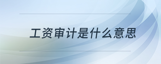 工資審計(jì)是什么意思 工資審計(jì)是什么意思