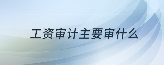 工資審計主要審什么 工資審計主要審什么