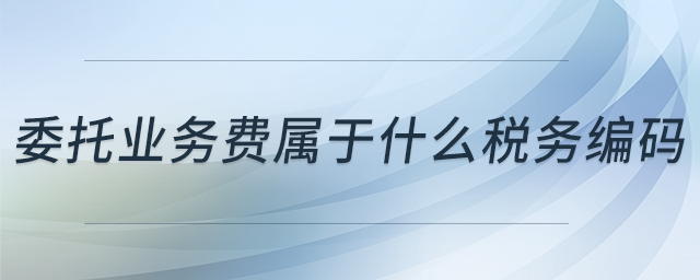 委托業(yè)務(wù)費(fèi)屬于什么稅務(wù)編碼 委托業(yè)務(wù)費(fèi)屬于什么稅務(wù)編碼