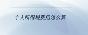 個(gè)人所得稅費(fèi)用怎么算