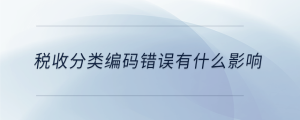 稅收分類編碼錯誤有什么影響