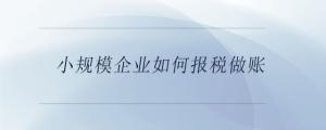 小規(guī)模企業(yè)如何報(bào)稅做賬