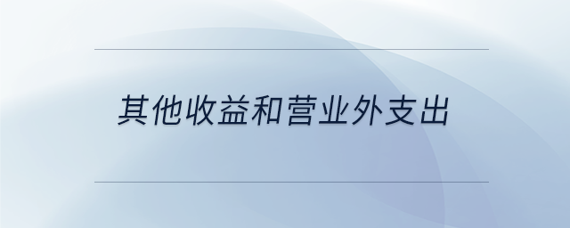 其他收益和營業(yè)外支出 其他收益和營業(yè)外支出