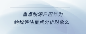 重點稅源戶應作為納稅評估重點分析對象么