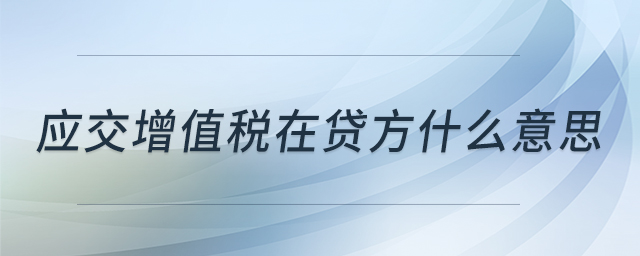 應(yīng)交增值稅在貸方什么意思