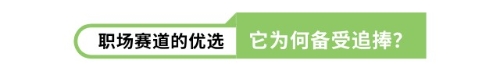 職場賽道的優(yōu)選它為何備受追捧？