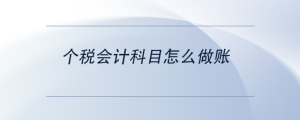 個(gè)稅會計(jì)科目怎么做賬