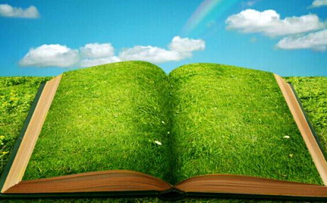 注冊(cè)會(huì)計(jì)師