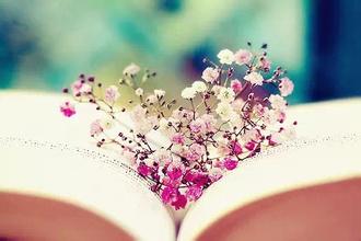 注冊會(huì)計(jì)師稅法復(fù)習(xí)